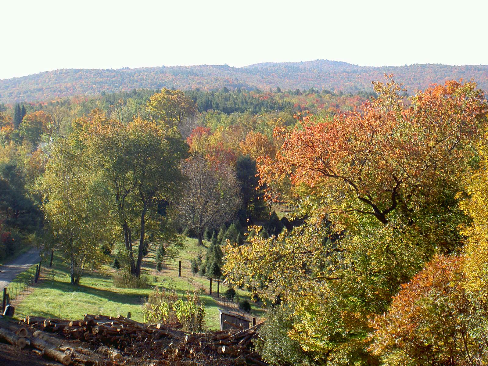 A view across the valley from the barn, autumn trees and distant hills